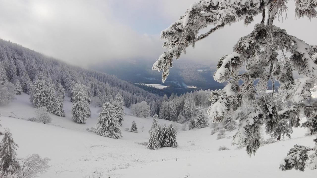 Au Chalet De Jo Muhlbach-sur-Munster Екстер'єр фото