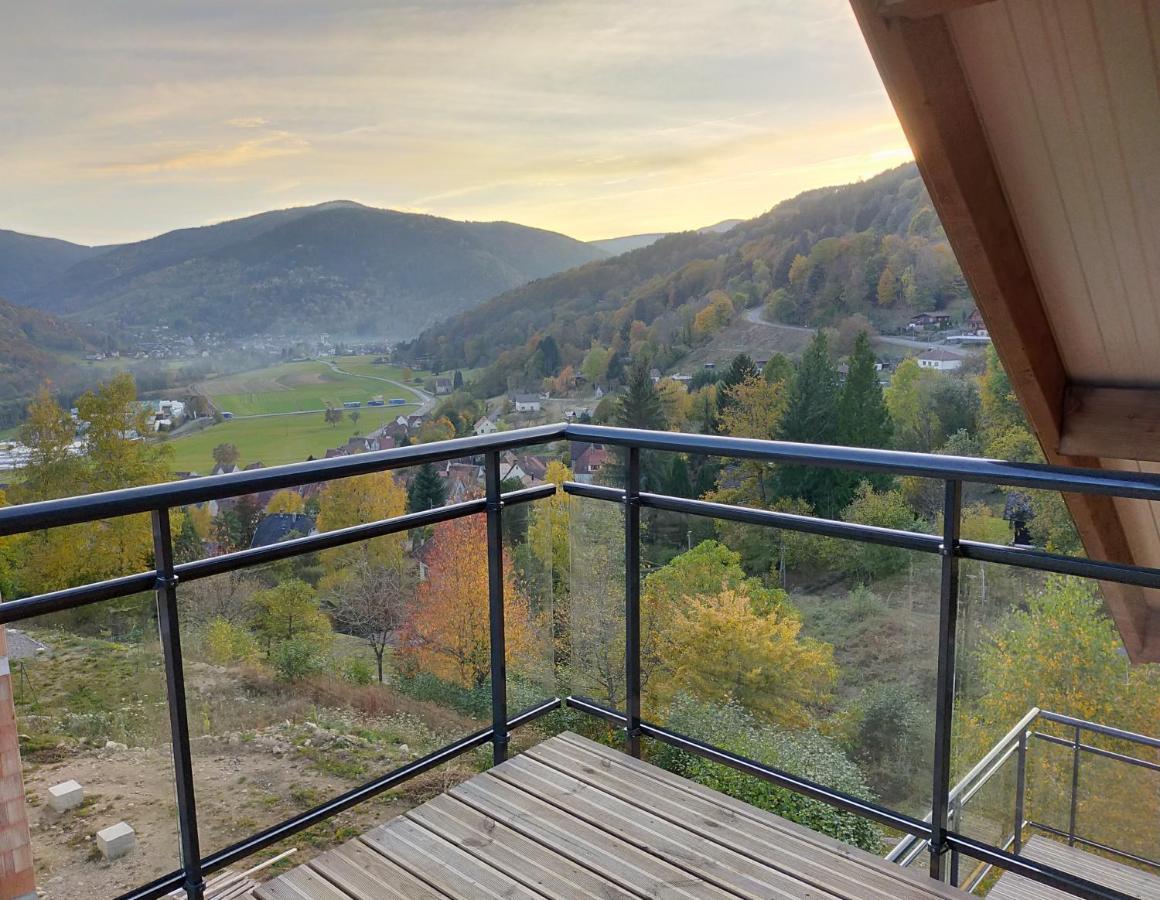 Au Chalet De Jo Muhlbach-sur-Munster Екстер'єр фото
