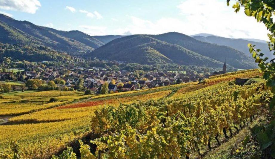 Au Chalet De Jo Muhlbach-sur-Munster Екстер'єр фото