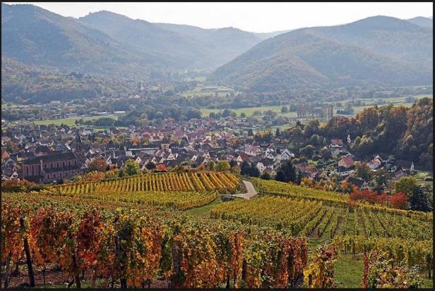 Au Chalet De Jo Muhlbach-sur-Munster Екстер'єр фото