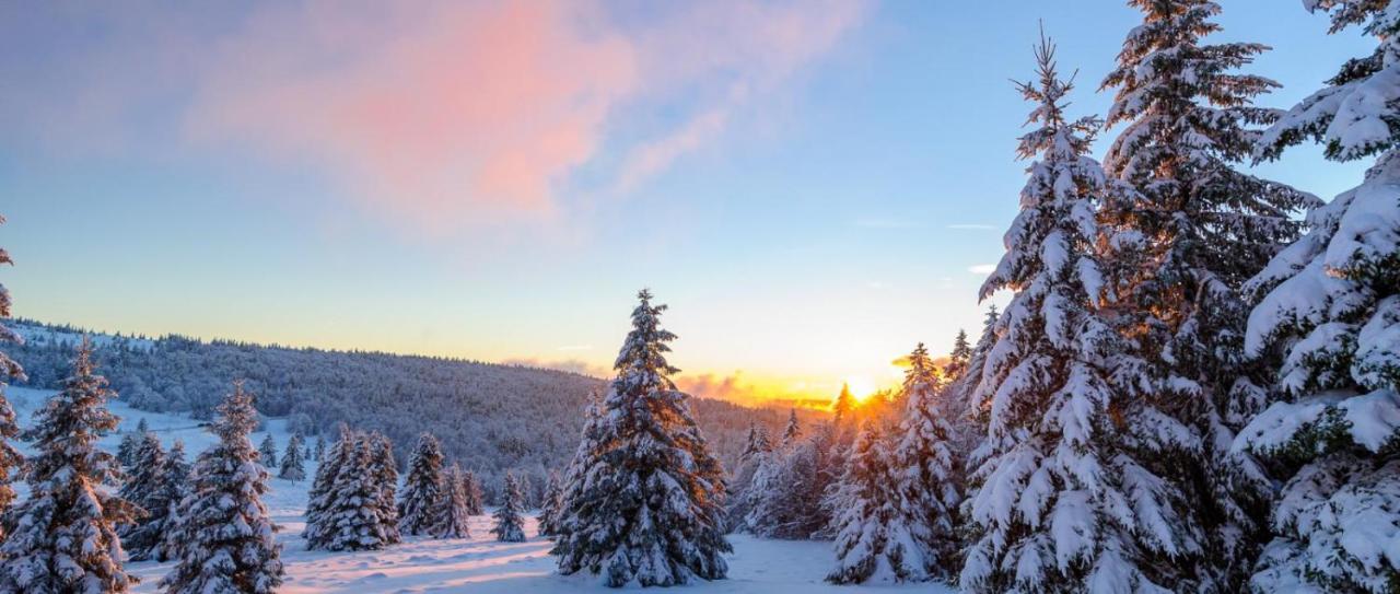 Au Chalet De Jo Muhlbach-sur-Munster Екстер'єр фото