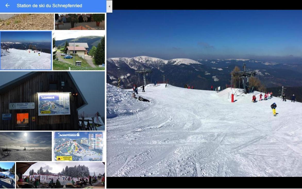 Au Chalet De Jo Muhlbach-sur-Munster Екстер'єр фото