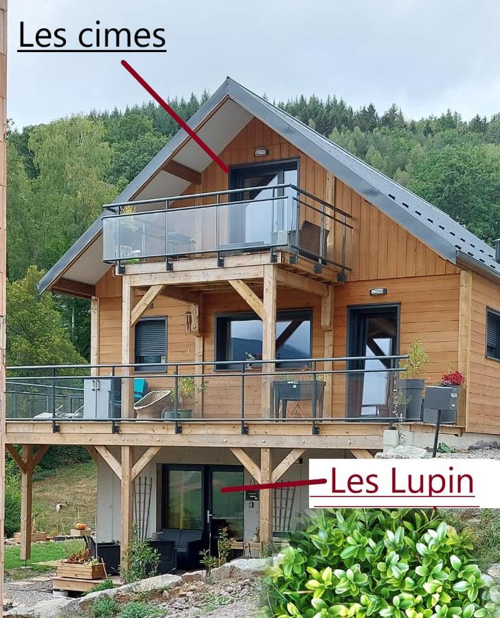 Au Chalet De Jo Muhlbach-sur-Munster Екстер'єр фото